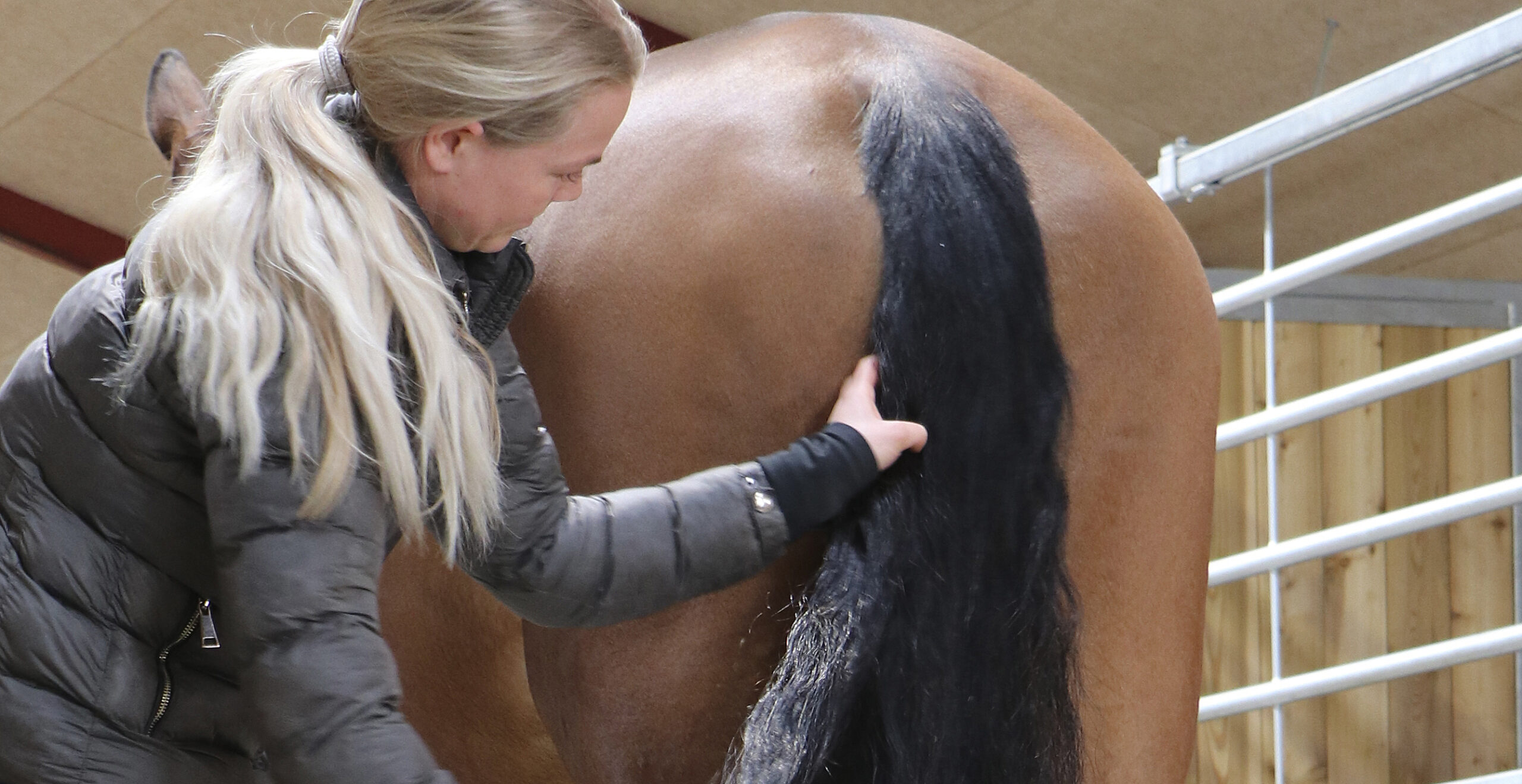Savvy Mægtig velgørenhed Sådan får din hest fyldigere og flottere man og hale - Nathalie Horse Care